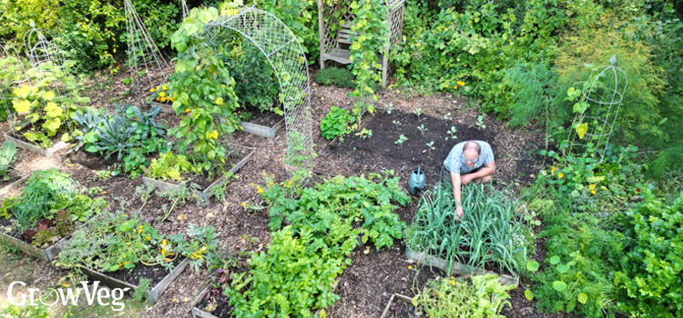 Ben working in his garden