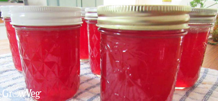 https://gardenplannerwebsites.blob.core.windows.net/blog/apple-scraps-jelly-2x.jpg