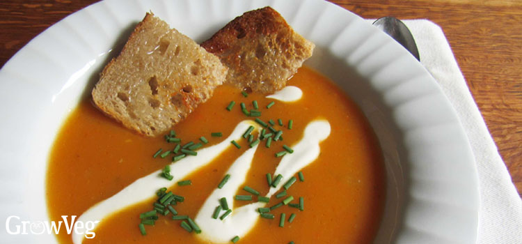 Butternut squash soup