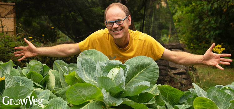Ben with his cabbages