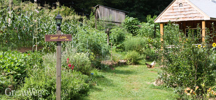 Handmade sign in a garden