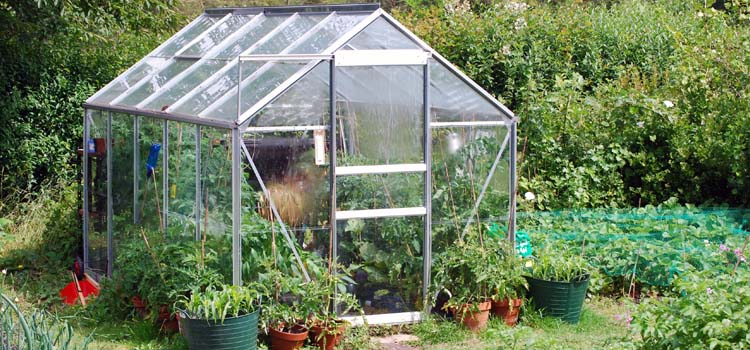 Greenhouse