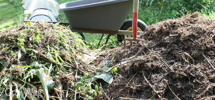 Compost heaps