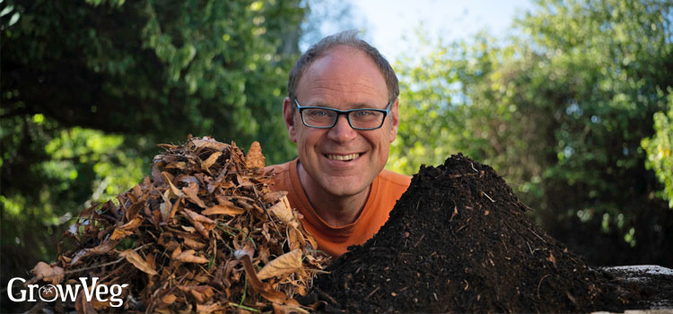 https://gardenplannerwebsites.blob.core.windows.net/blog/fall-leaves-ben-2x.jpg