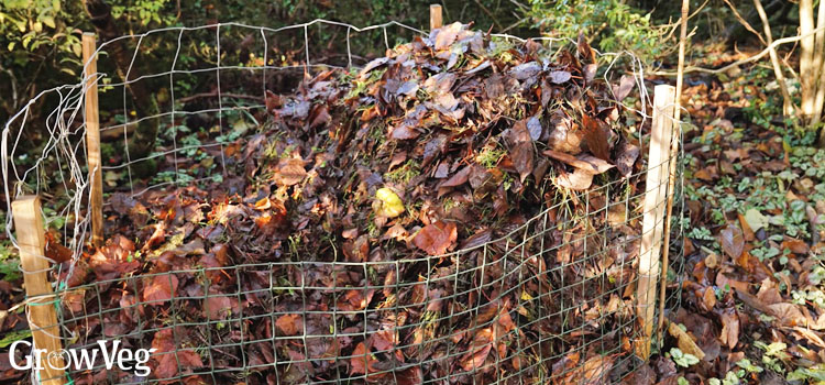 Leafmold cage