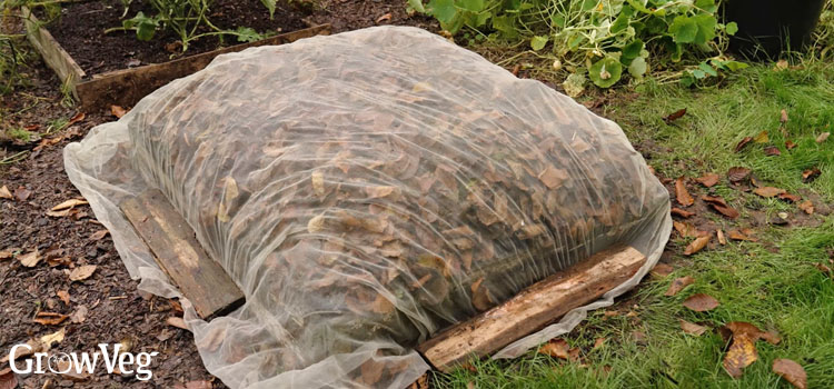 Garden bed mulched with leaves and held in place with horticultural fleece