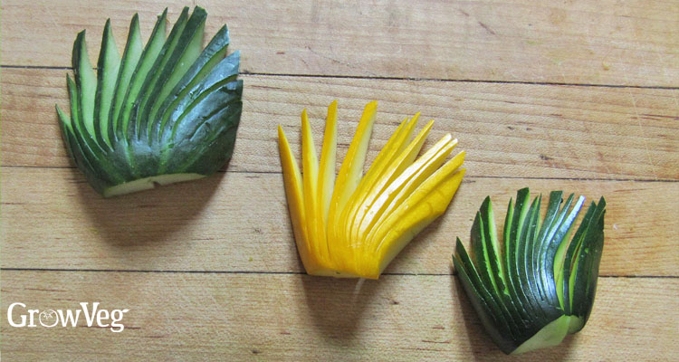 Vegetable fans
