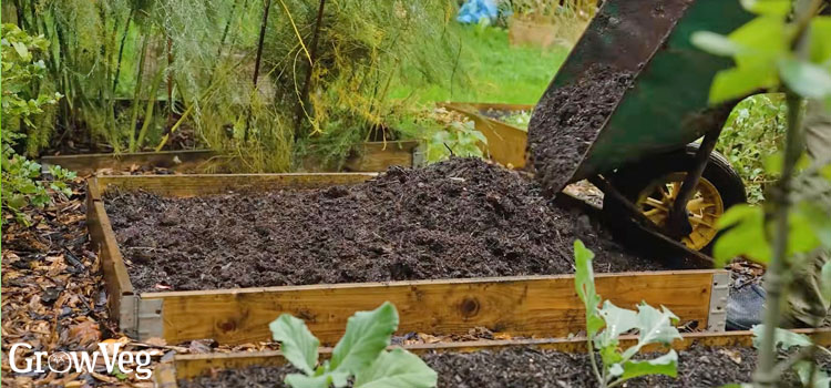 Adding compost to a raised bed