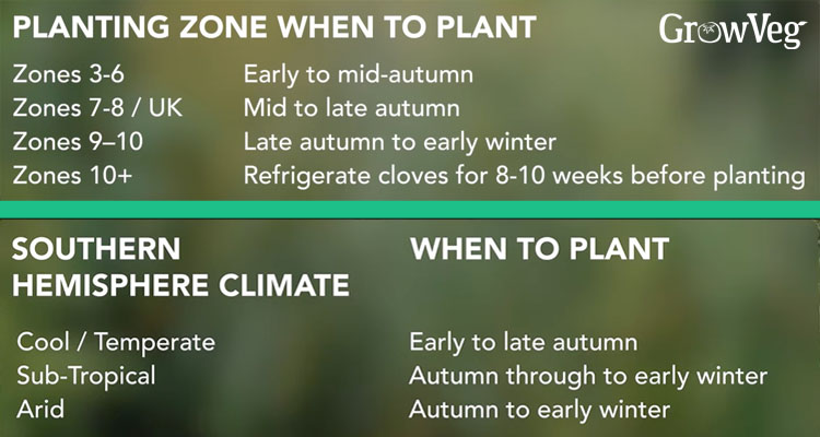 Garlic planting time chart by region