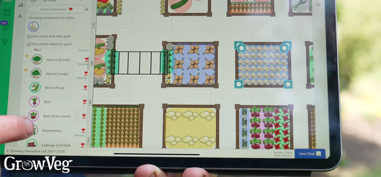 Companion planting in the Garden Planner