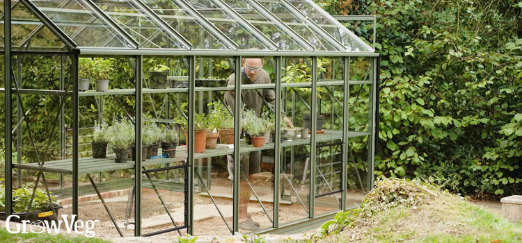 Ben working in his greenhouse