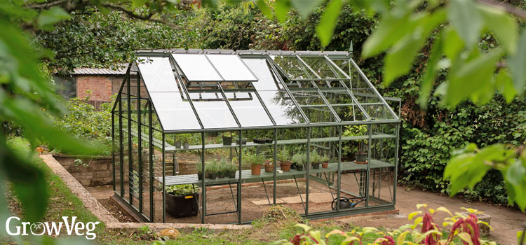 Greenhouse