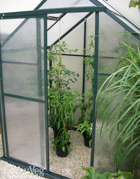 Polycarbonate greenhouse