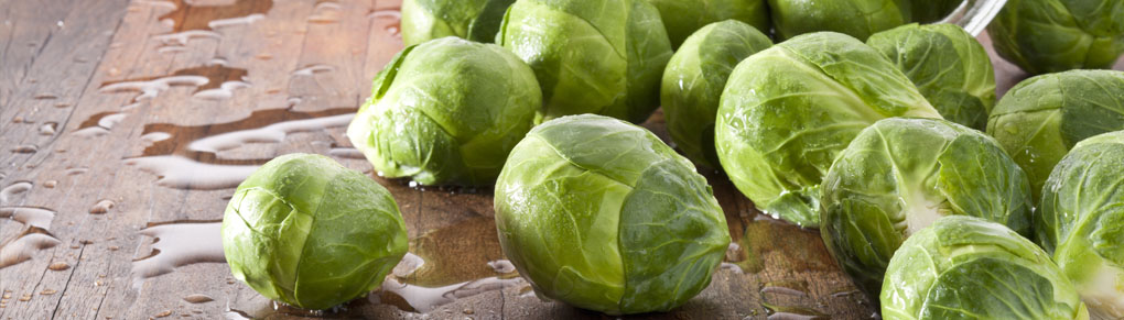 Growing Brussels Sprouts Successfully: It's All About Timing
