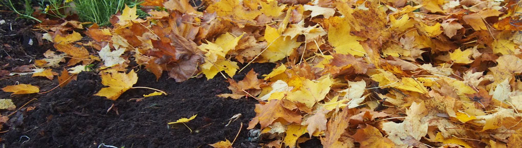 How to Make Perfect Garden Soil in Winter