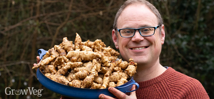 Ben Vanheems with a hefty Jerusalem artichoke harvest