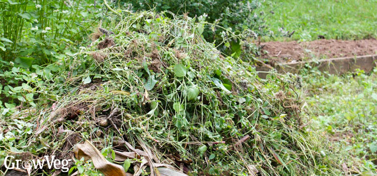 Compost pile