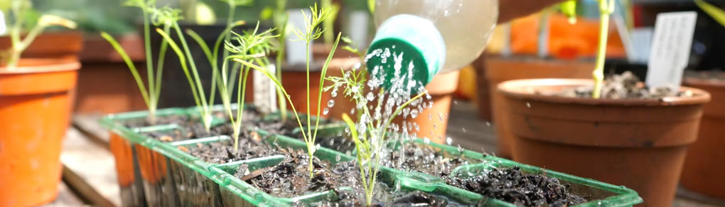 10 Clever Hacks for Reusing Plastic Bottles in the Garden