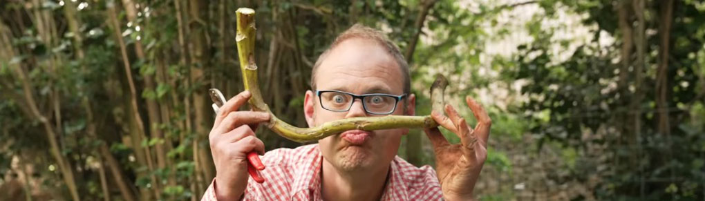 10 Essential Gardening Tasks For May