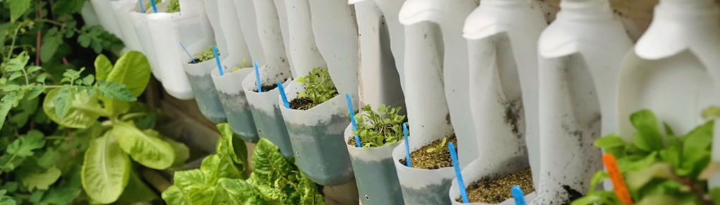 12 Ingenious Ideas For Reusing Plastic Bottles in the Garden