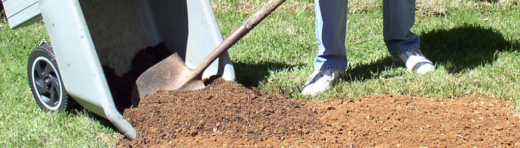 3 Productive Autumn Garden Projects