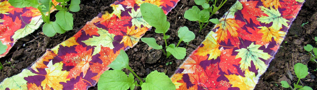 5 Easy Projects for the Late Summer Garden