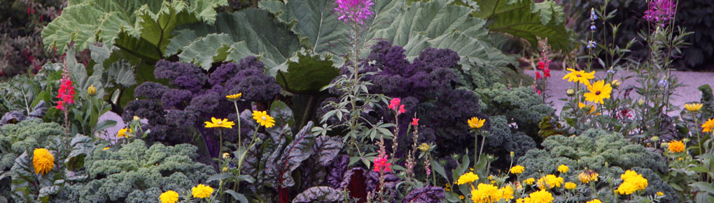 5 Must-Grow Edibles for the Flower Garden