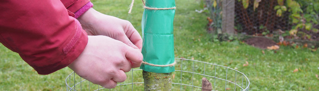 5 Organic Ways to Foil Fruit Tree Pests