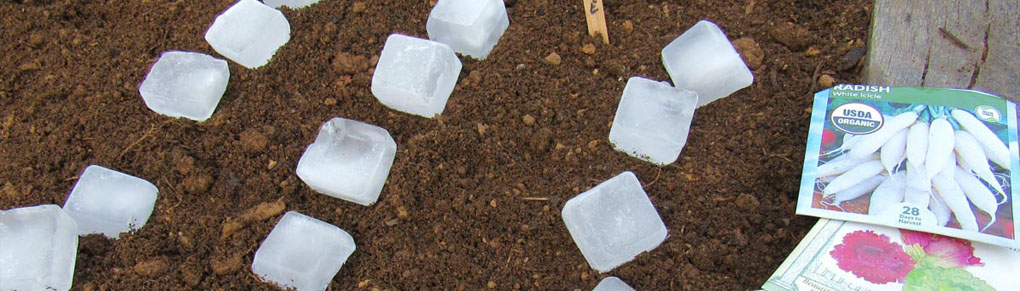 6 Cool Tips For Hot Weather Planting