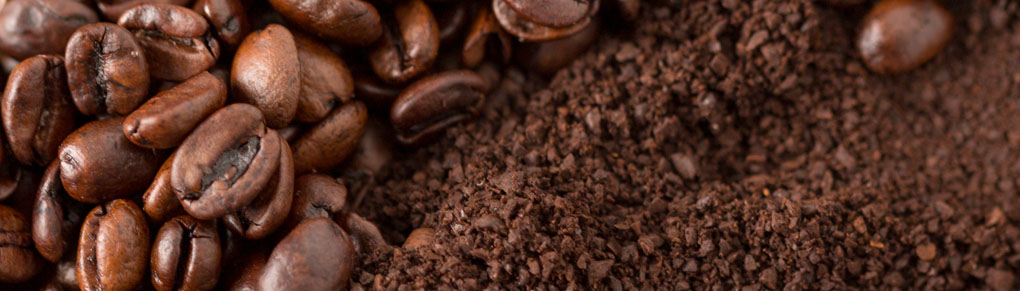 A Common-Sense Guide to Using Coffee Grounds in the Garden