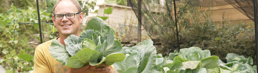 Cabbage Growing Masterclass: The Secret to Year-Round Harvests