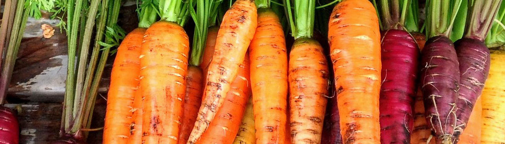 Carrot Growing Masterclass: Perfect Carrots Every Time