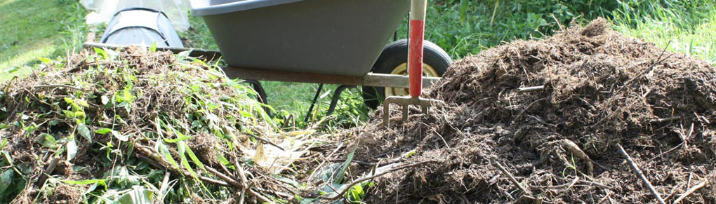 Climate Change: Fight Back With Cover Crops and Compost!