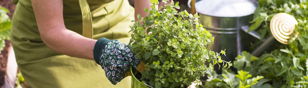 Creative Christmas Gift Ideas for Gardeners!