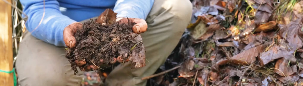 Dishing the Dirt: What Every Gardener Needs to Know