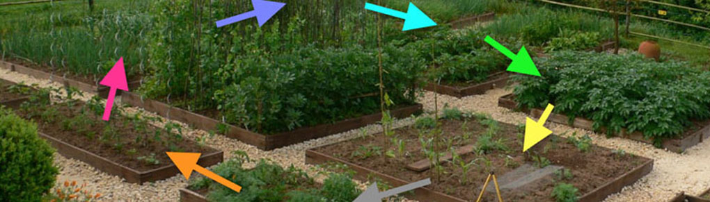 Easy Crop Rotation Using the Colours of the Rainbow