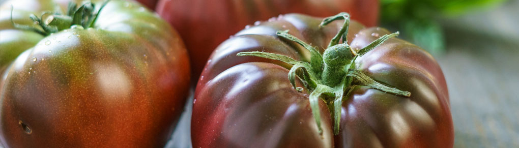 Flavor Secrets of Potato Leaf Tomatoes