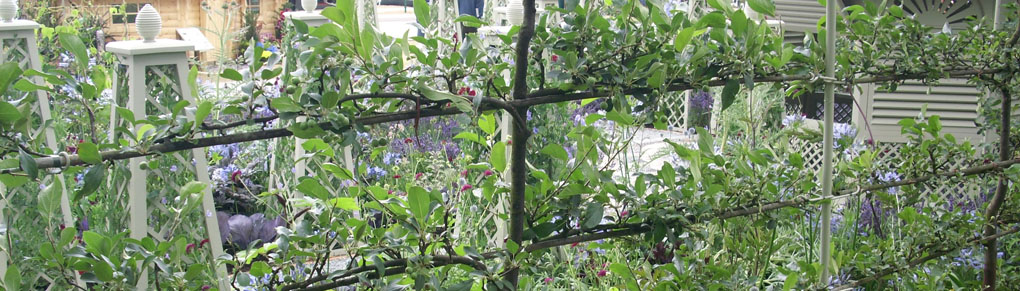 Garden Design Ideas Using Fruit