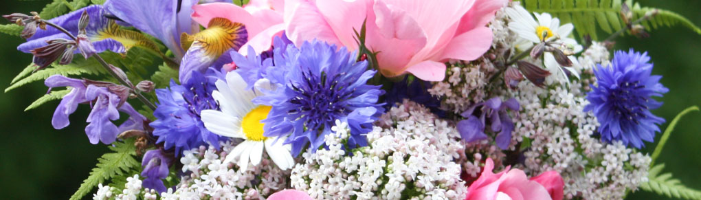 Growing Cut Flowers for Bouquets