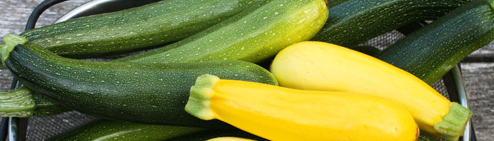 Growing Courgettes from Sowing to Harvest