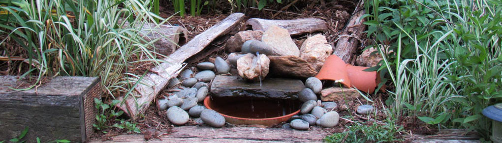 How to Encourage Wildlife With a Fun Solar Fountain