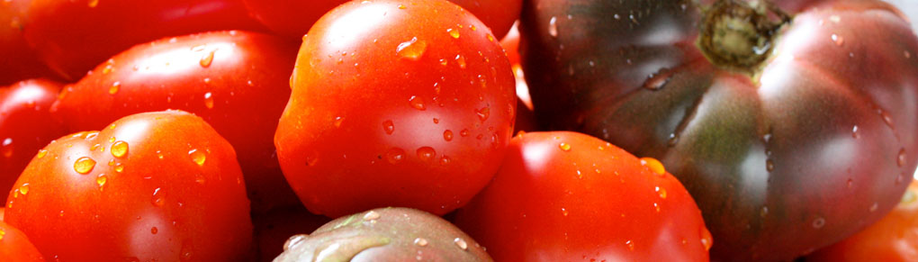 How to Grow Tomatoes with Great Flavor