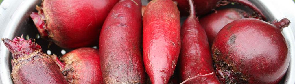 How to Refrigerator-Store Root Vegetables For Months!