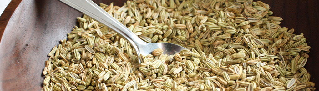 How to Use Fennel in the Kitchen and Garden