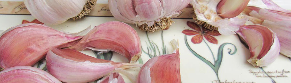 It's Not Too Late to Plant Garlic!