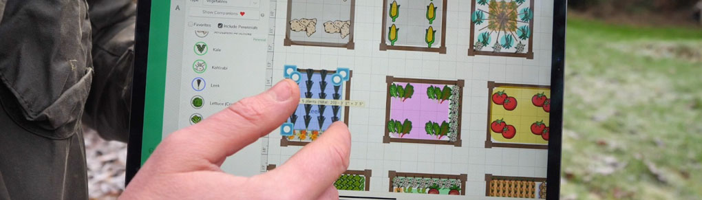 New Veggie Garden Checklist: 5 Essential Things to Get Right