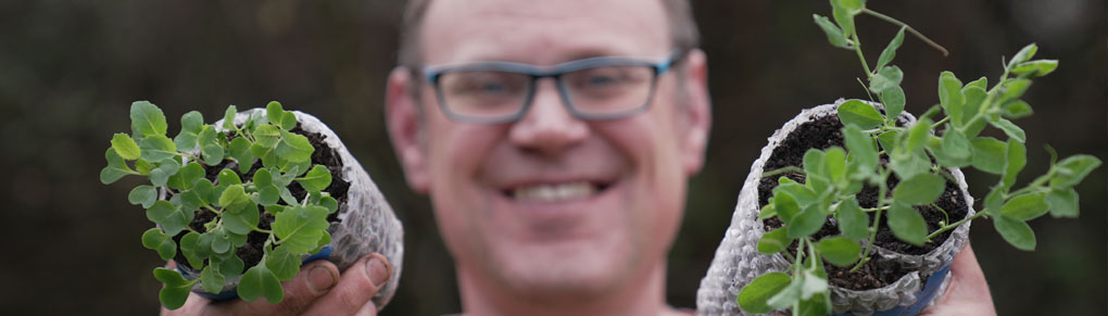 Seed Snails: The Revolutionary Method for Starting Seeds