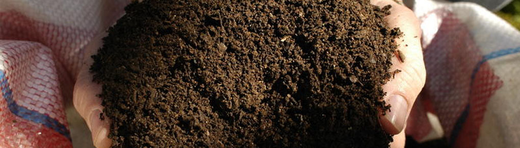Storing Compost In Winter