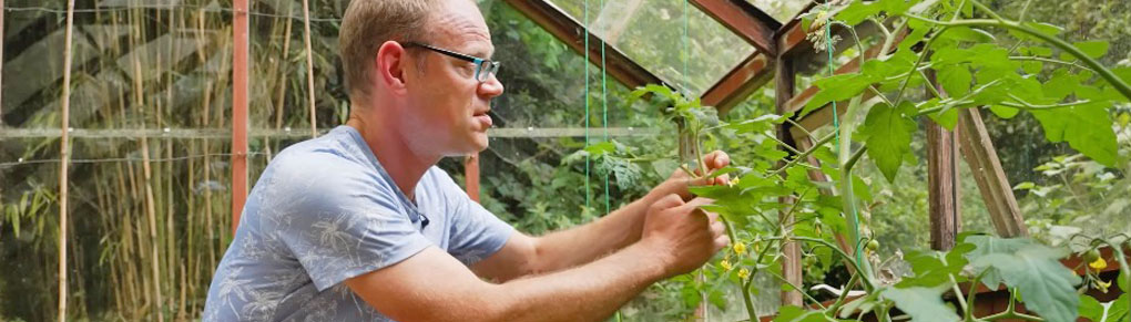 The Morning Routine That Keeps my Garden Thriving (10 Mins a Day)