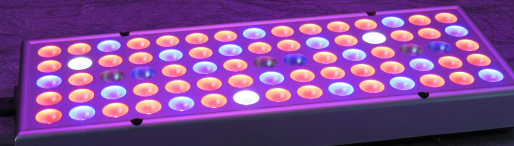 Tune-Up Your Grow Lights to Boost Seedling Growth